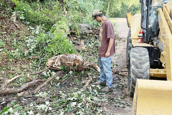 Meadville Public Works staffer Jaylan Etheridge worked Thursday morning to remove a fallen tree from Meadville-Hamburg Road behind Herring Gas. Wednesday afternoon storms toppled the tree, which also brought down power lines in the area. (Photo by Sean Dunlap)